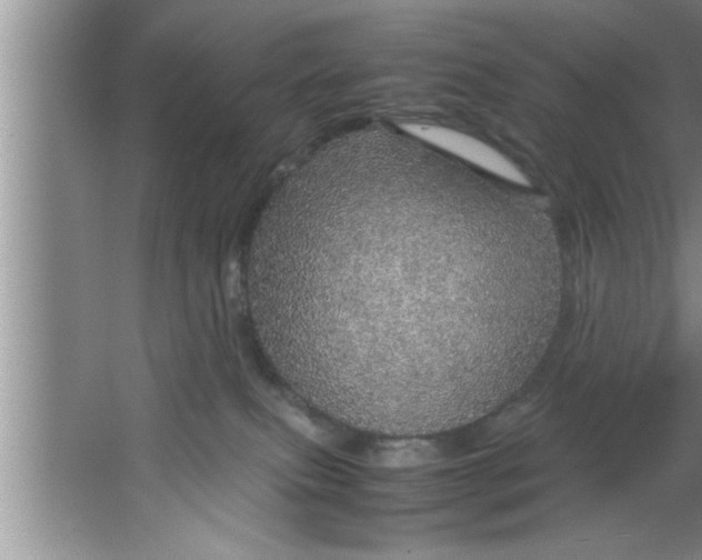 X0000067480087200604281931