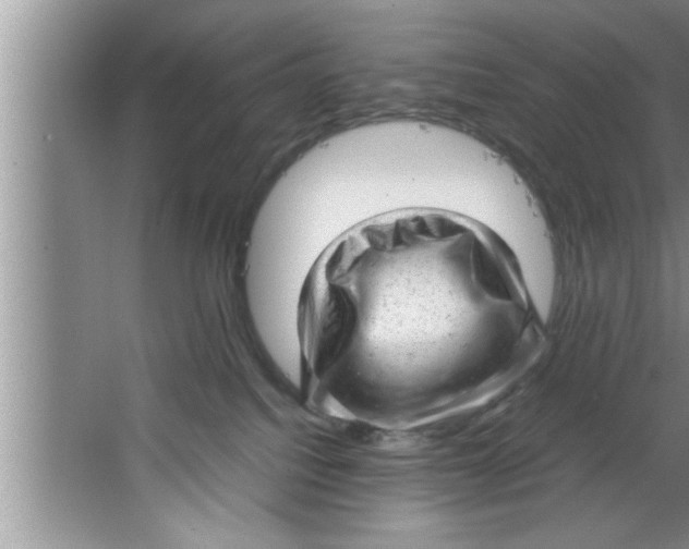 X0000067480088200604281931