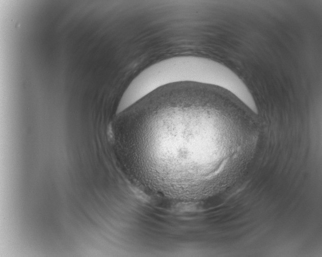 X0000067480089200604281931