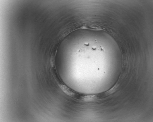 X0000067480090200604281931