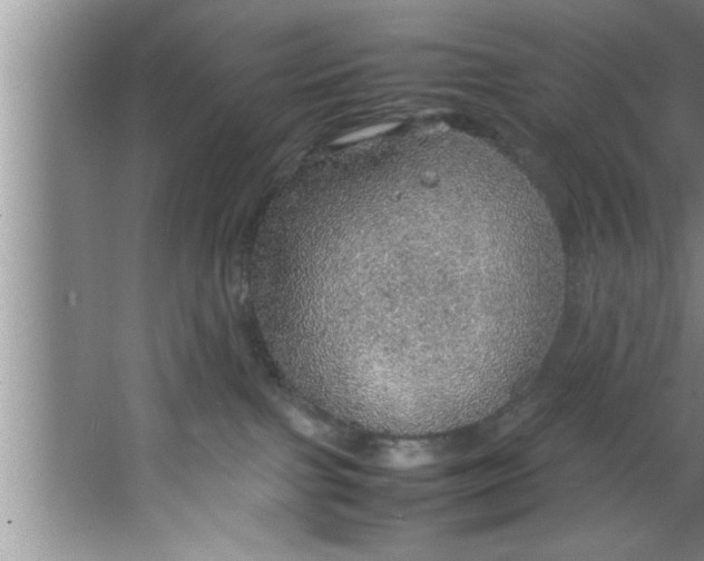 X0000067480091200604281931