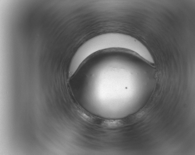 X0000067480093200604281931