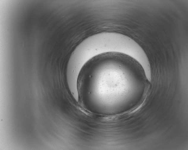 X0000067480094200604281931