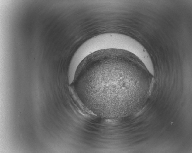 X0000067480095200604281931