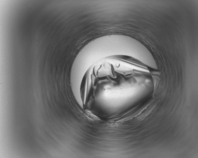 X0000067480096200604281931