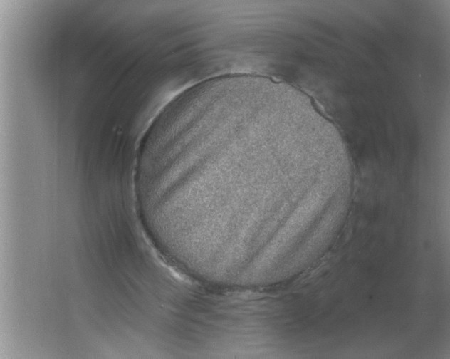 X0000067480098200604281930