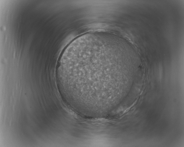 X0000067480099200604281930