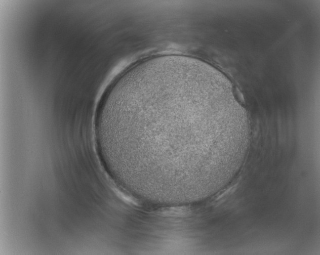 X0000067480102200604281930