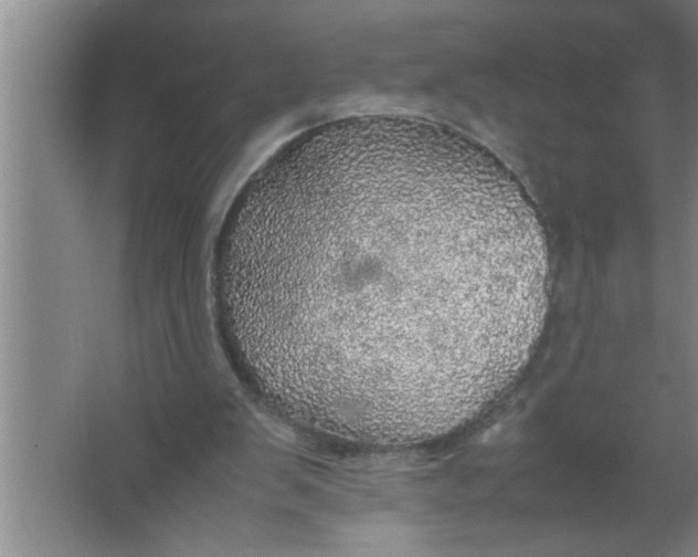 X0000067480103200604281930