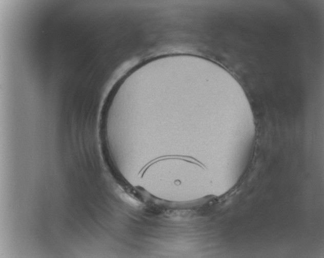 X0000067480104200604281930