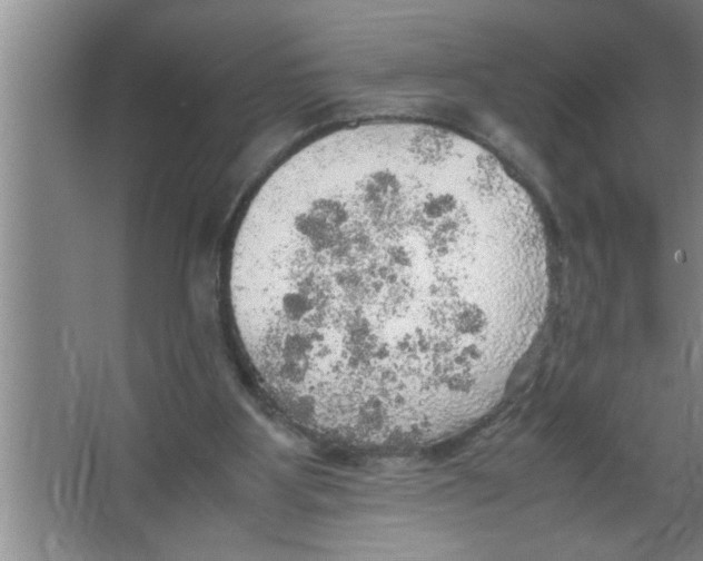 X0000067480107200604281930