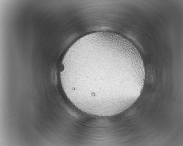 X0000067480110200604281930