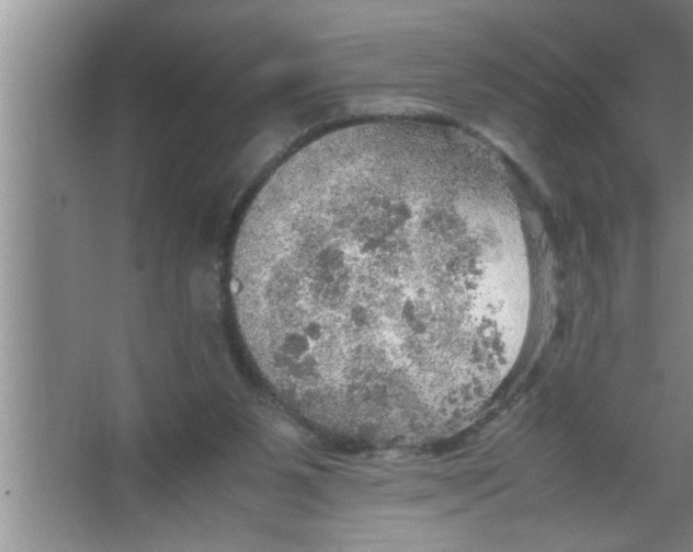 X0000067480111200604281930