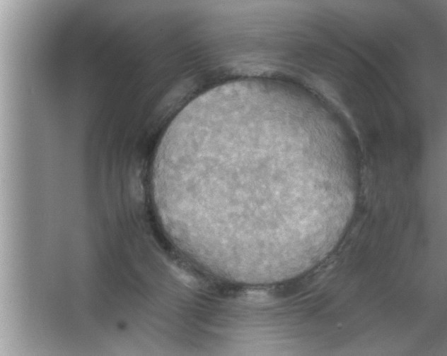 X0000067480114200604281930