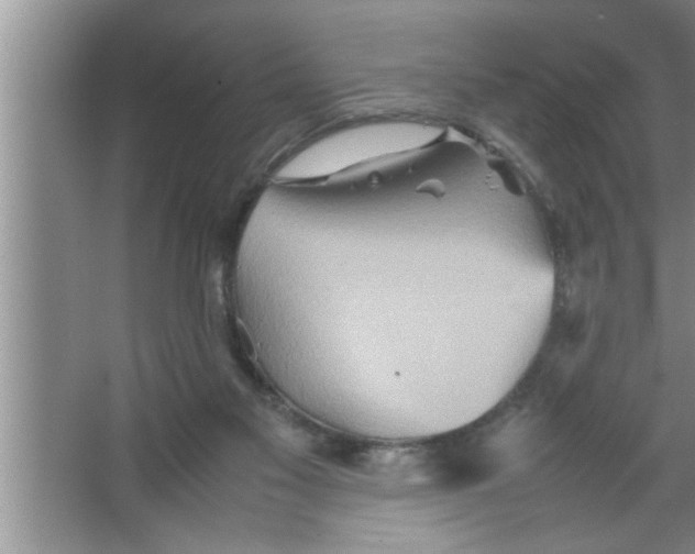 X0000067480117200604281930