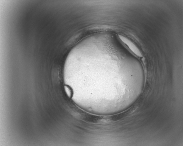 X0000067480119200604281930