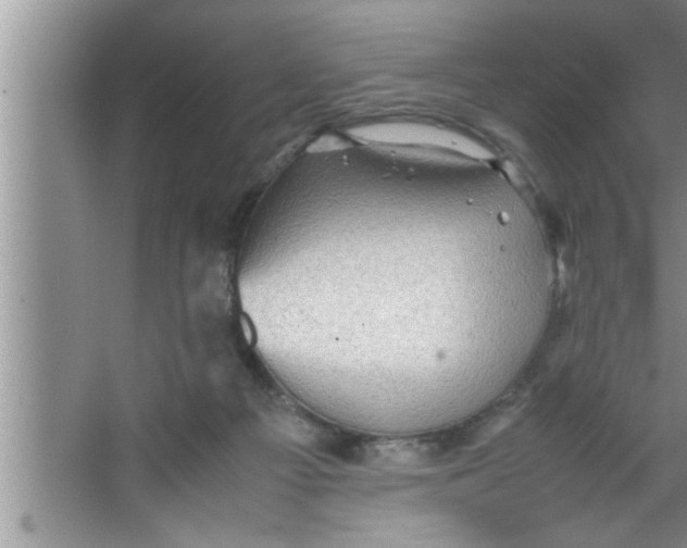 X0000067480121200604281930