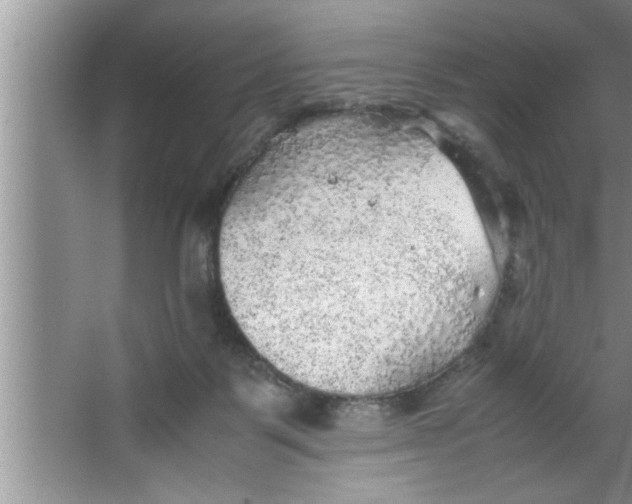 X0000067480123200604281930