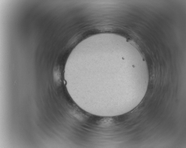 X0000067480124200604281930