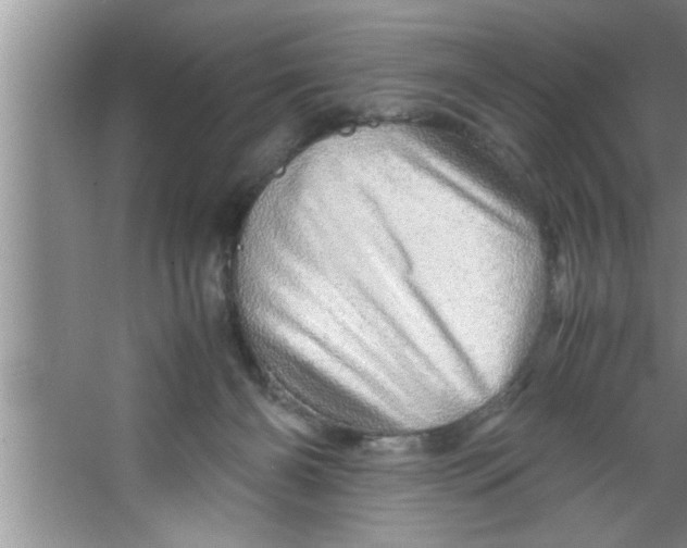 X0000067480126200604281930