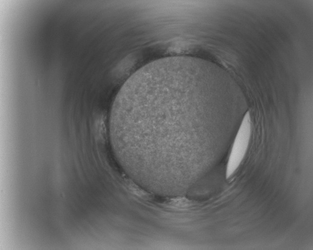 X0000067480127200604281930