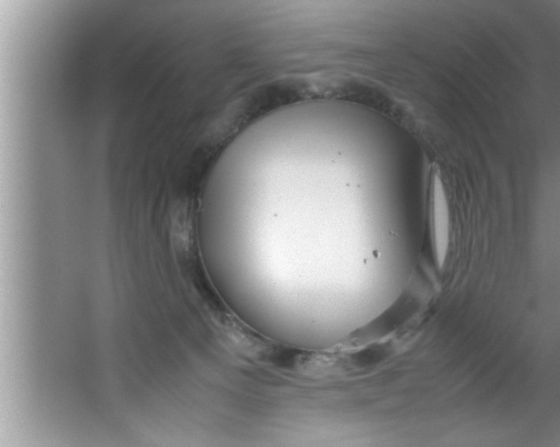 X0000067480129200604281930