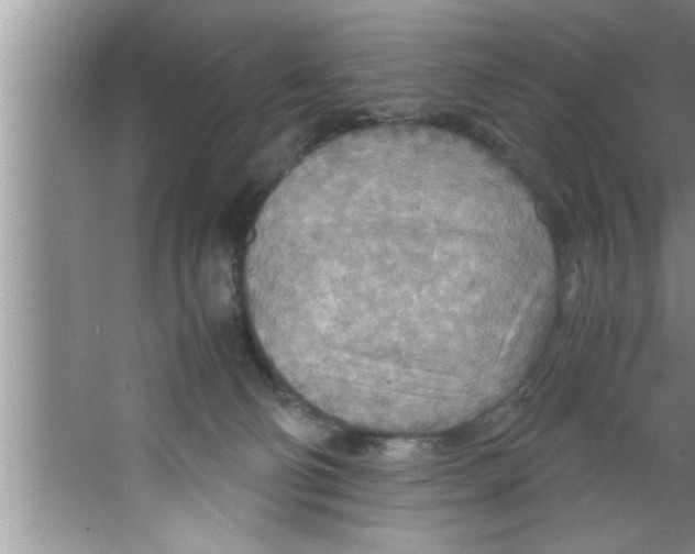 X0000067480130200604281930