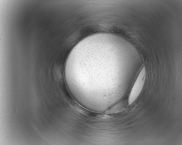 X0000067480131200604281930