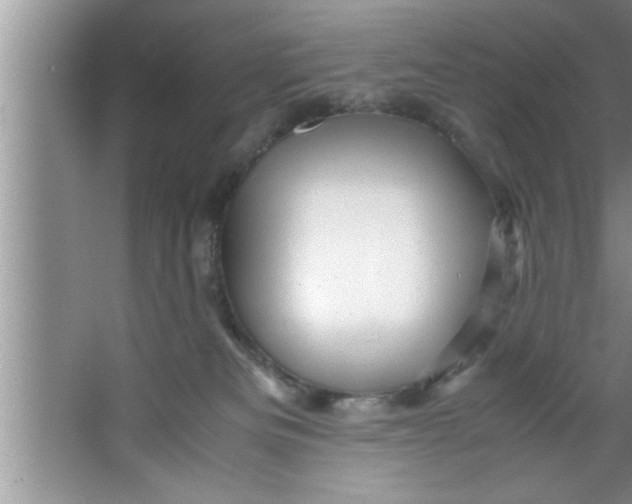 X0000067480133200604281930