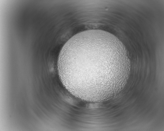 X0000067480134200604281930