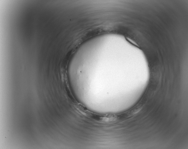 X0000067480135200604281930