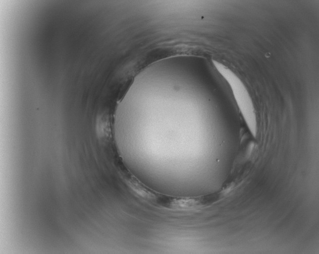 X0000067480137200604281930