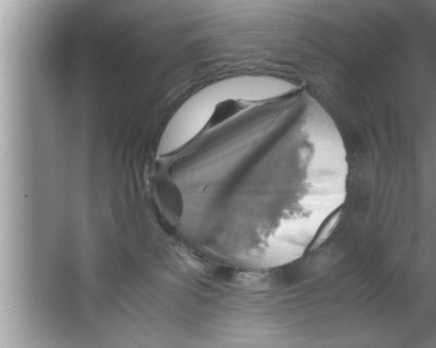 X0000067480139200604281930