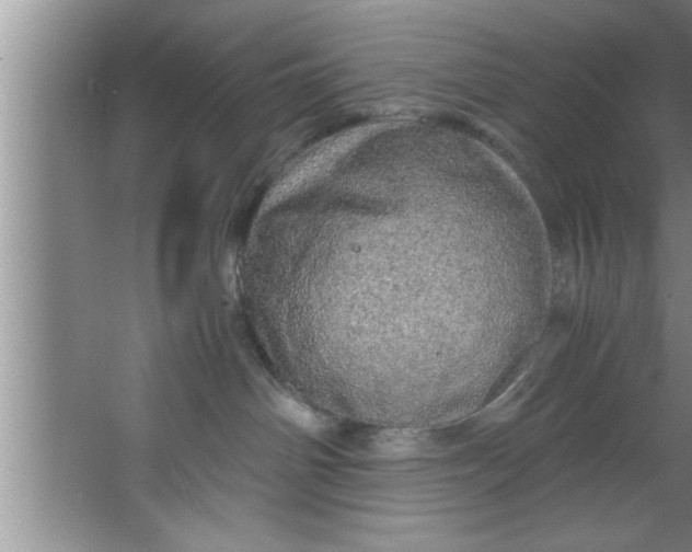 X0000067480142200604281930