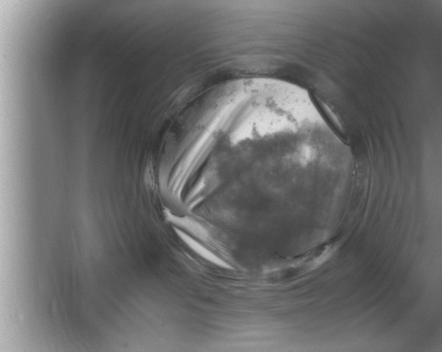 X0000067480143200604281930