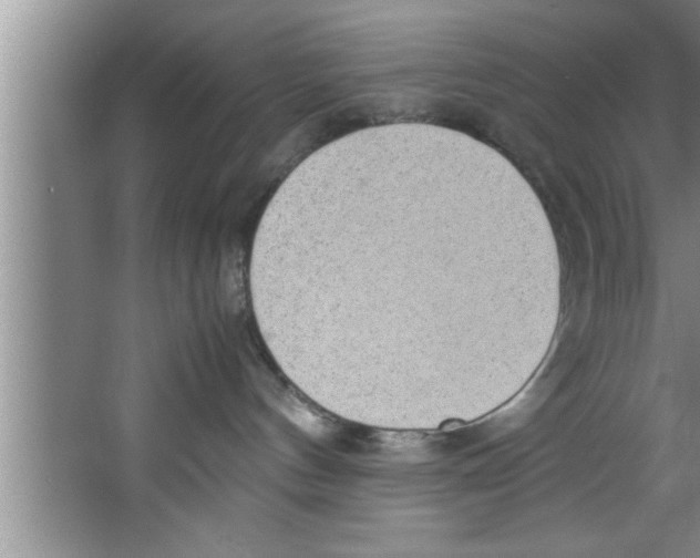 X0000067480144200604281930