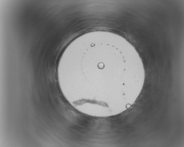 X0000067480146200604281929