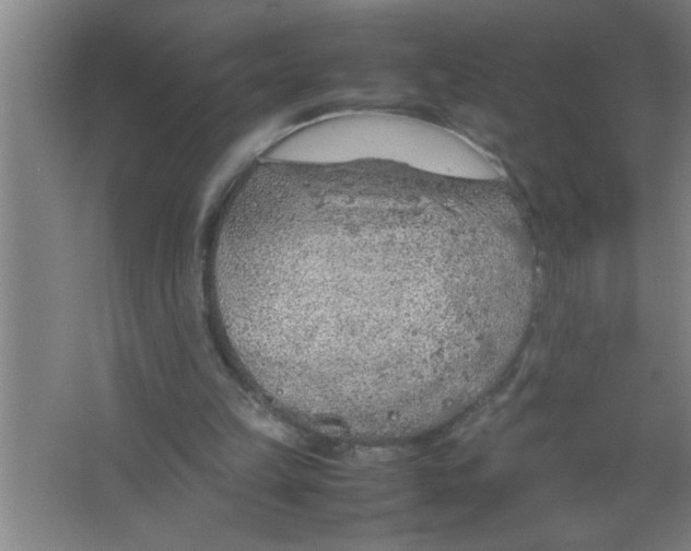 X0000067480149200604281929