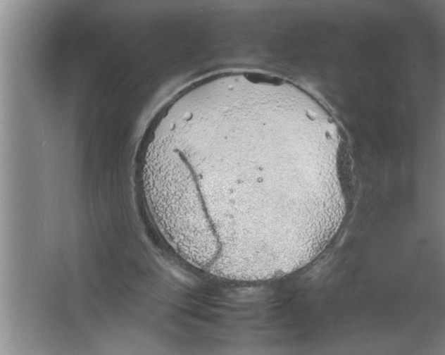 X0000067480151200604281929