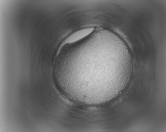 X0000067480153200604281929