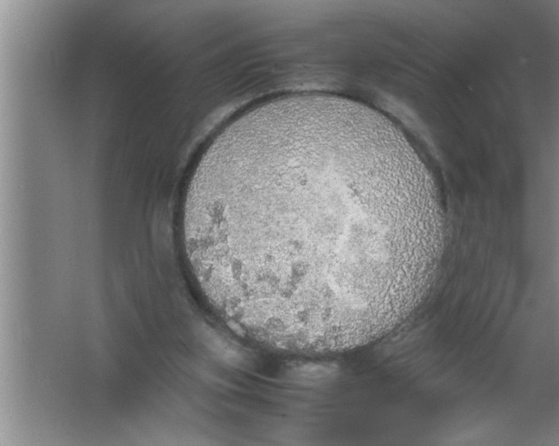 X0000067480155200604281929