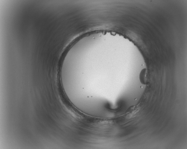 X0000067480156200604281929