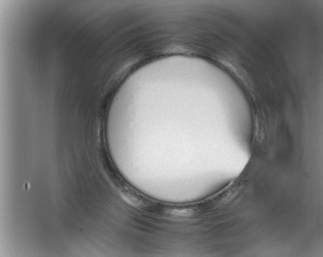 X0000067480157200604281929