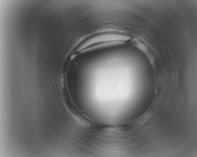 X0000067480160200604281929