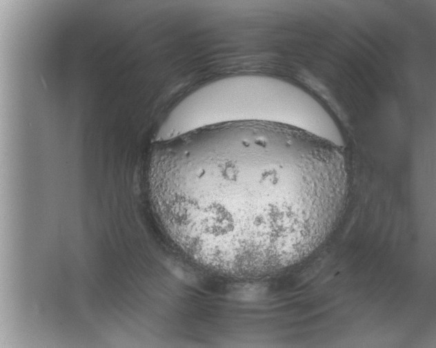 X0000067480161200604281929