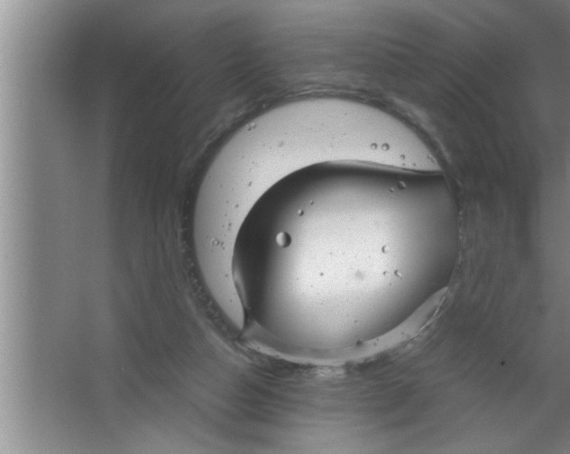 X0000067480162200604281929