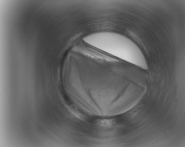 X0000067480163200604281929