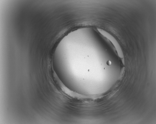 X0000067480164200604281929