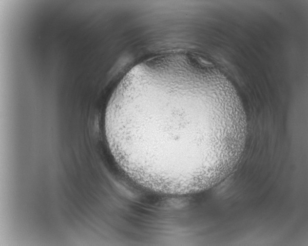 X0000067480166200604281929