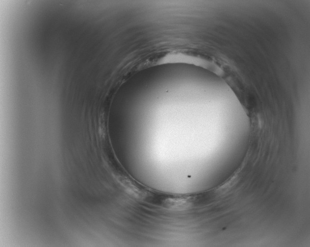 X0000067480170200604281929